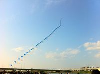 kites2.jpg